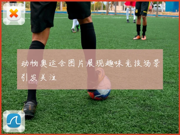 动物奥运会图片展现趣味竞技场景引发关注