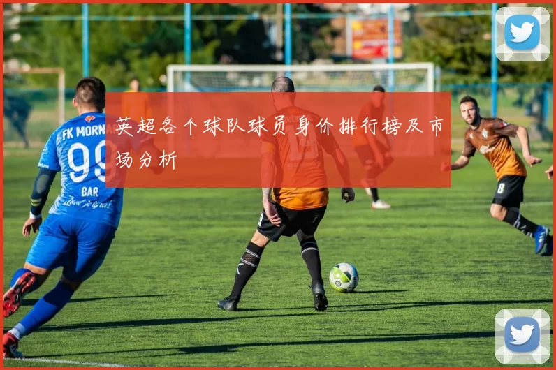 英超各个球队球员身价排行榜及市场分析