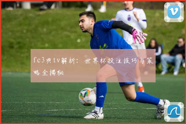 fc3典tv解析:世界杯投注技巧与策略全揭秘