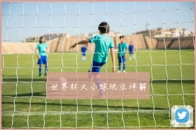 世界杯大小球玩法详解