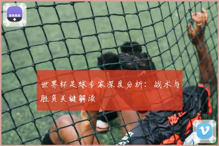 世界杯足球专家深度分析:战术与胜负关键解读