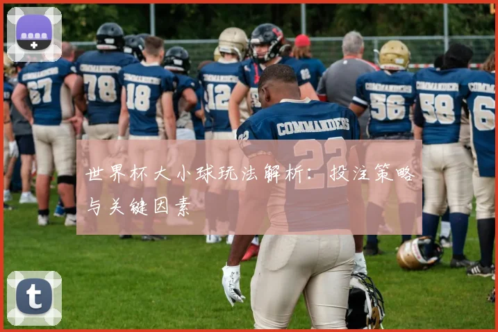 世界杯大小球玩法解析:投注策略与关键因素
