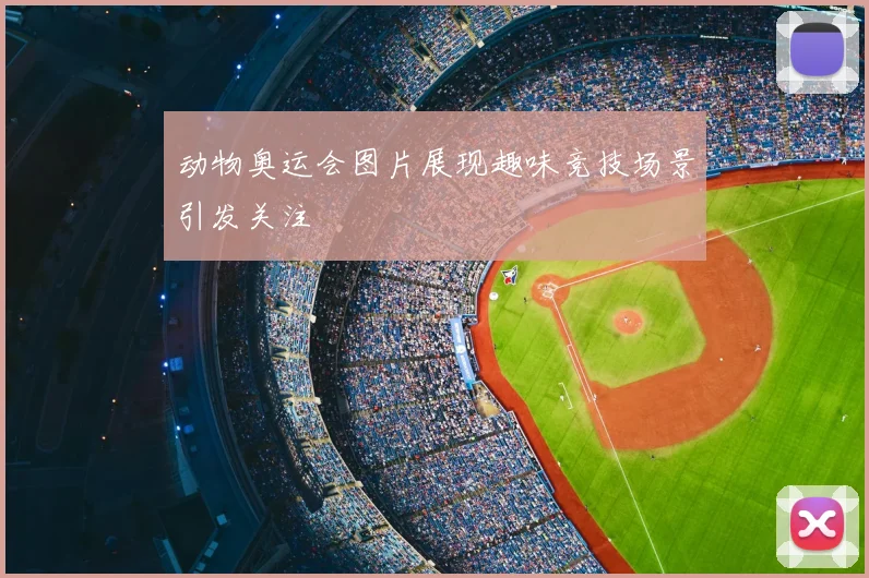 动物奥运会图片展现趣味竞技场景引发关注