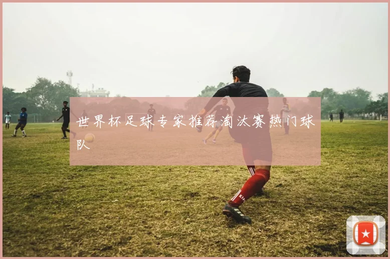 世界杯足球专家推荐淘汰赛热门球队