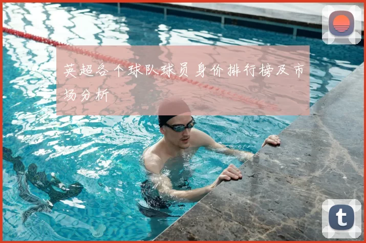 英超各个球队球员身价排行榜及市场分析