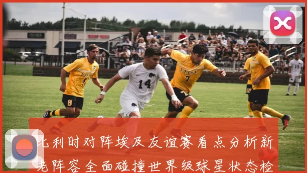 比利时对阵埃及友谊赛看点分析新老阵容全面碰撞世界级球星状态检验