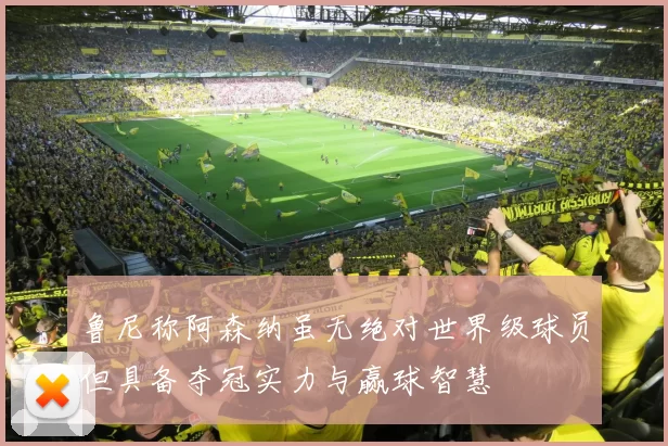 鲁尼称阿森纳虽无绝对世界级球员但具备夺冠实力与赢球智慧