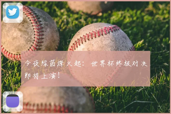 今夜绿茵烽火起:世界杯终极对决即将上演!