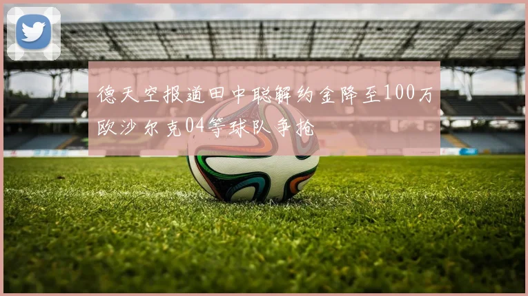 德天空报道田中聪解约金降至100万欧沙尔克04等球队争抢