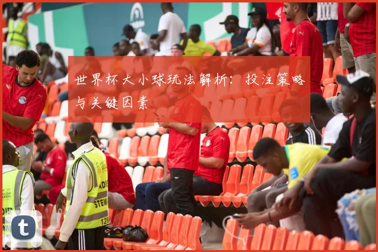 世界杯大小球玩法解析:投注策略与关键因素