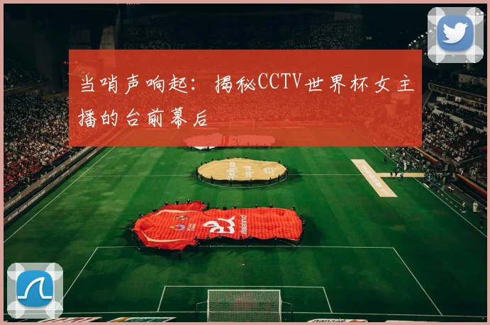 当哨声响起:揭秘CCTV世界杯女主播的台前幕后