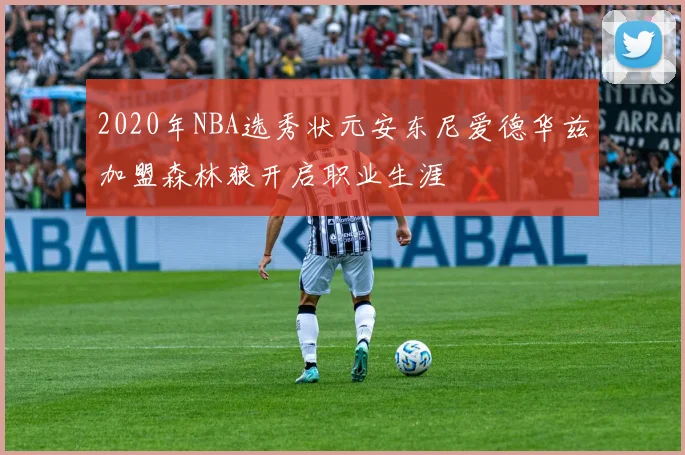 2020年NBA选秀状元安东尼爱德华兹加盟森林狼开启职业生涯