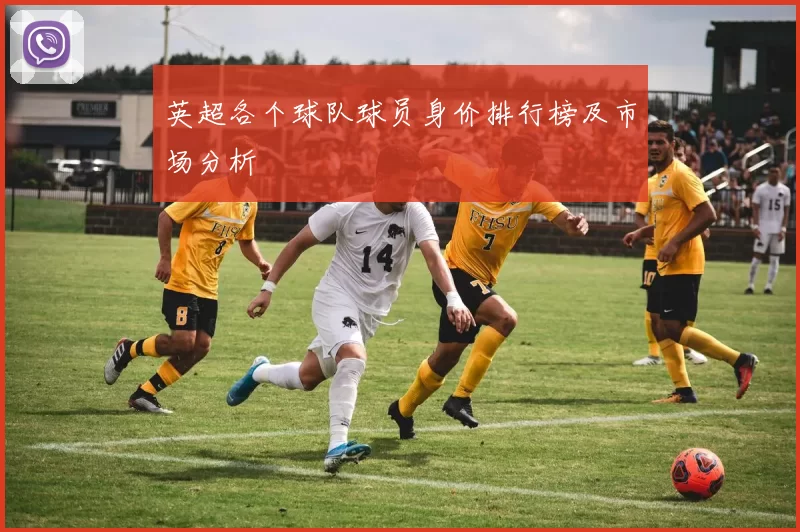 英超各个球队球员身价排行榜及市场分析
