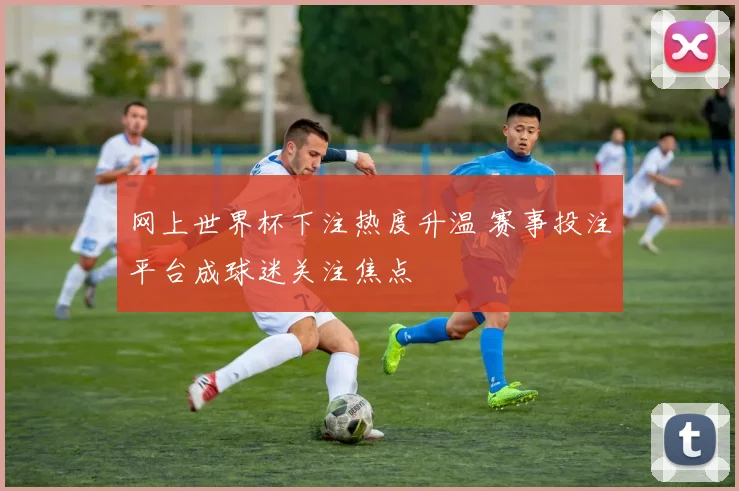网上世界杯下注热度升温 赛事投注平台成球迷关注焦点