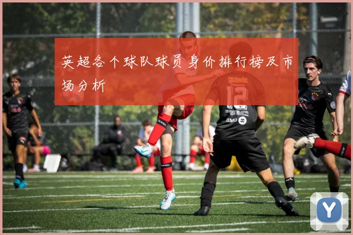 英超各个球队球员身价排行榜及市场分析