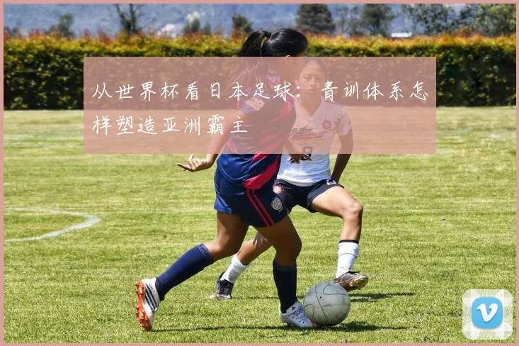 从世界杯看日本足球:青训体系怎样塑造亚洲霸主